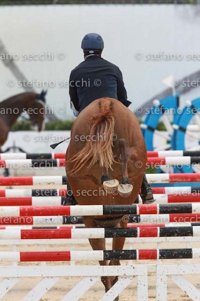 FERRARIO_PAZZA IDEA_GIO CAV 2011_SS3_8872.jpg